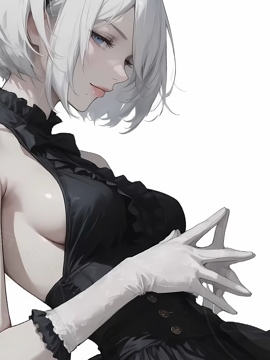 【Pre-sale】Decorative Painting of Black Dress 2B-NieR:Automata-XingKong Studio