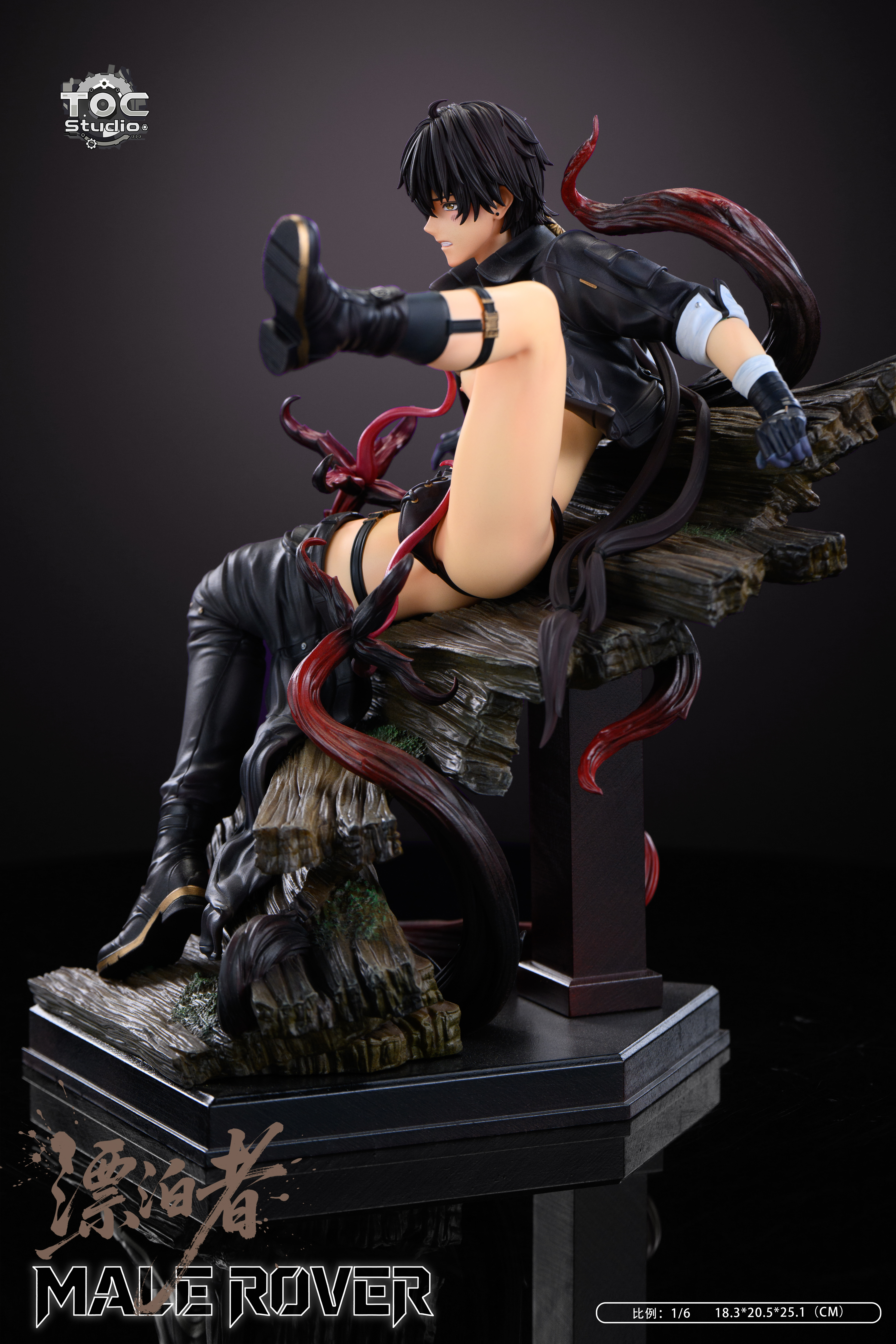【Pre-sale】1/6 Scale Male Rover-Wuthering Waves-TOC Studio