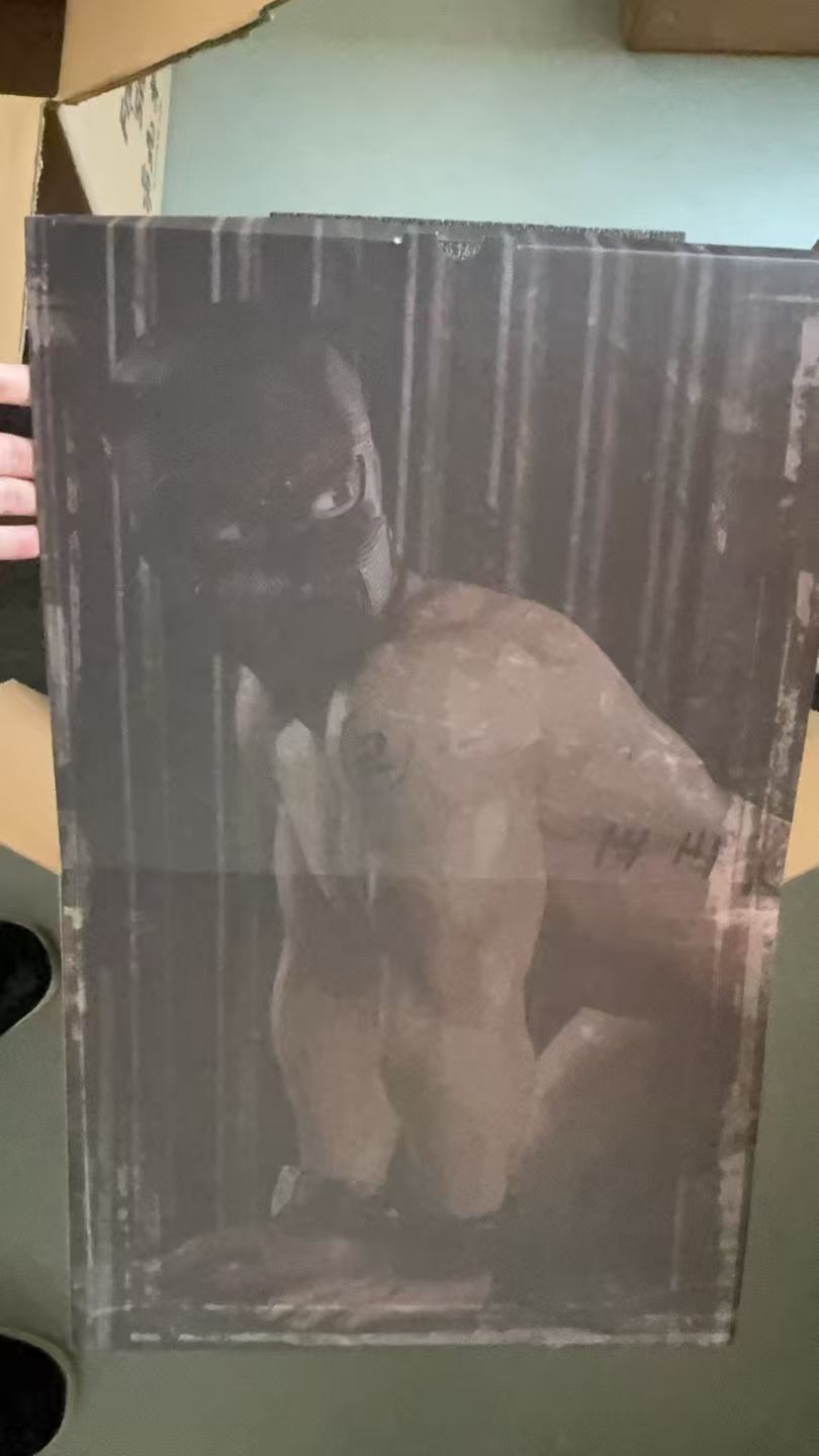 4994867_cb1c99e8_d23be45a