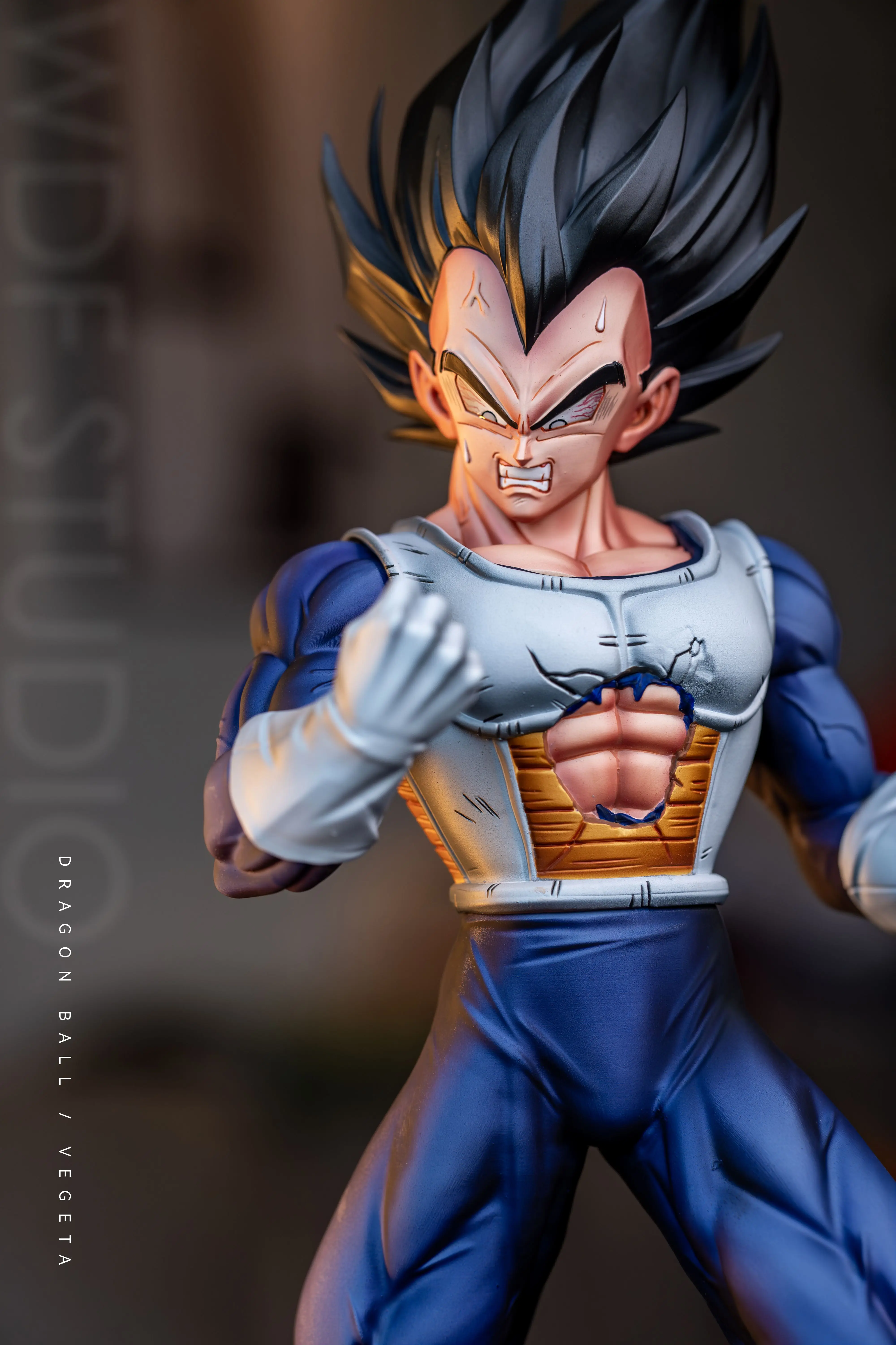 【Pre-sale】1/6 Scale Vegeta-Dragon Ball-WDF Studio