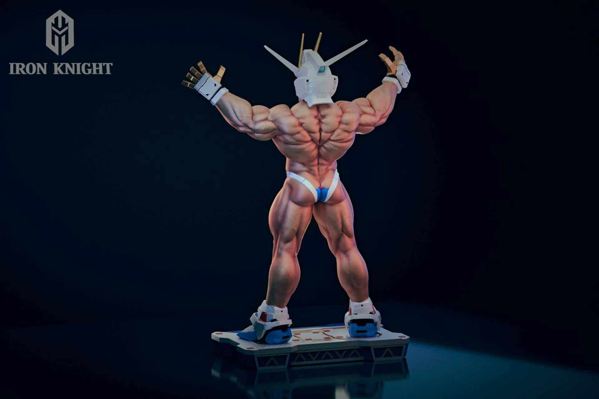 【Pre-sale】1/6 Scale 002 Freedom Warrior-Iron Knight Studio