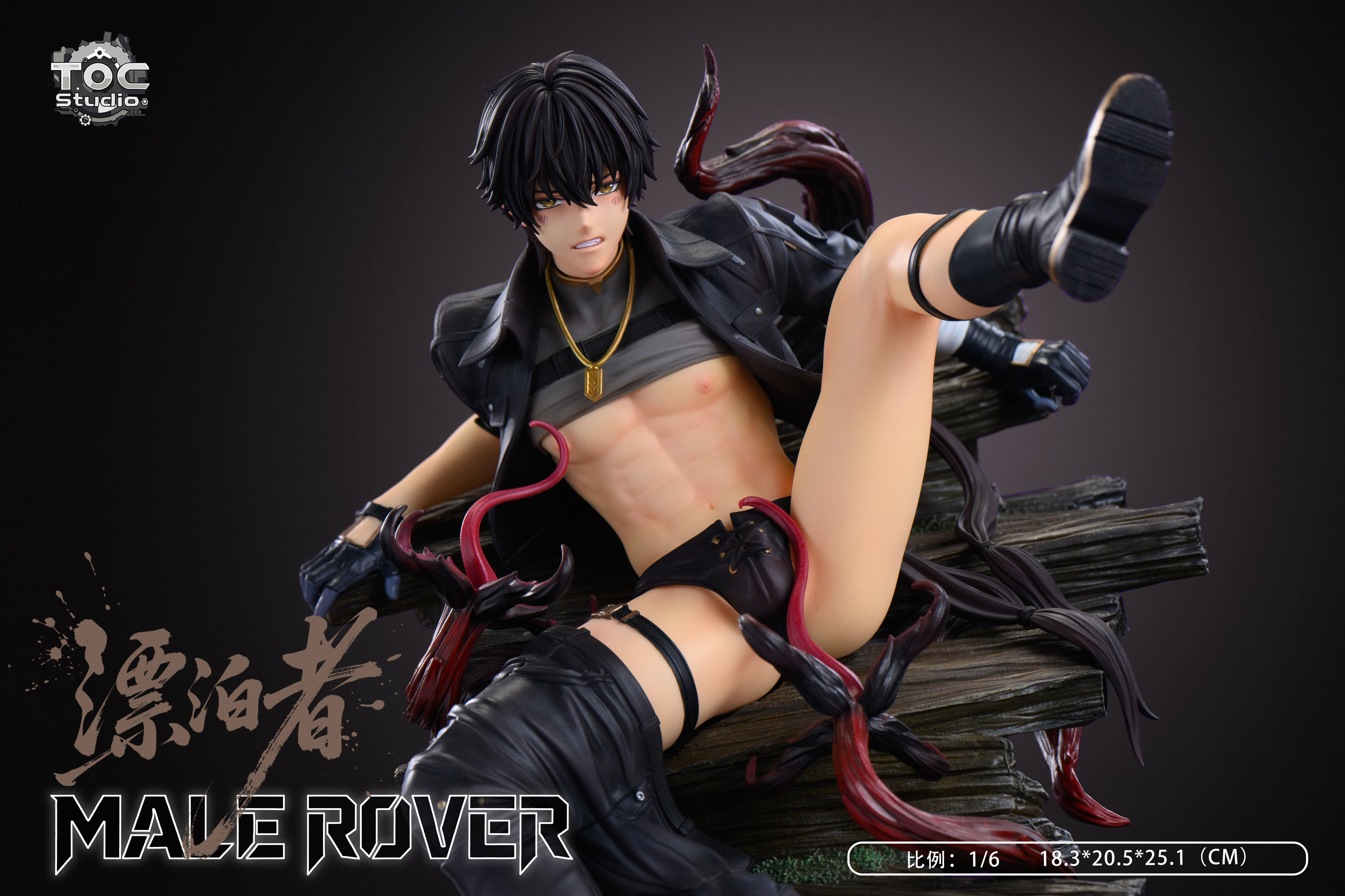 【Pre-sale】1/6 Scale Male Rover-Wuthering Waves-TOC Studio