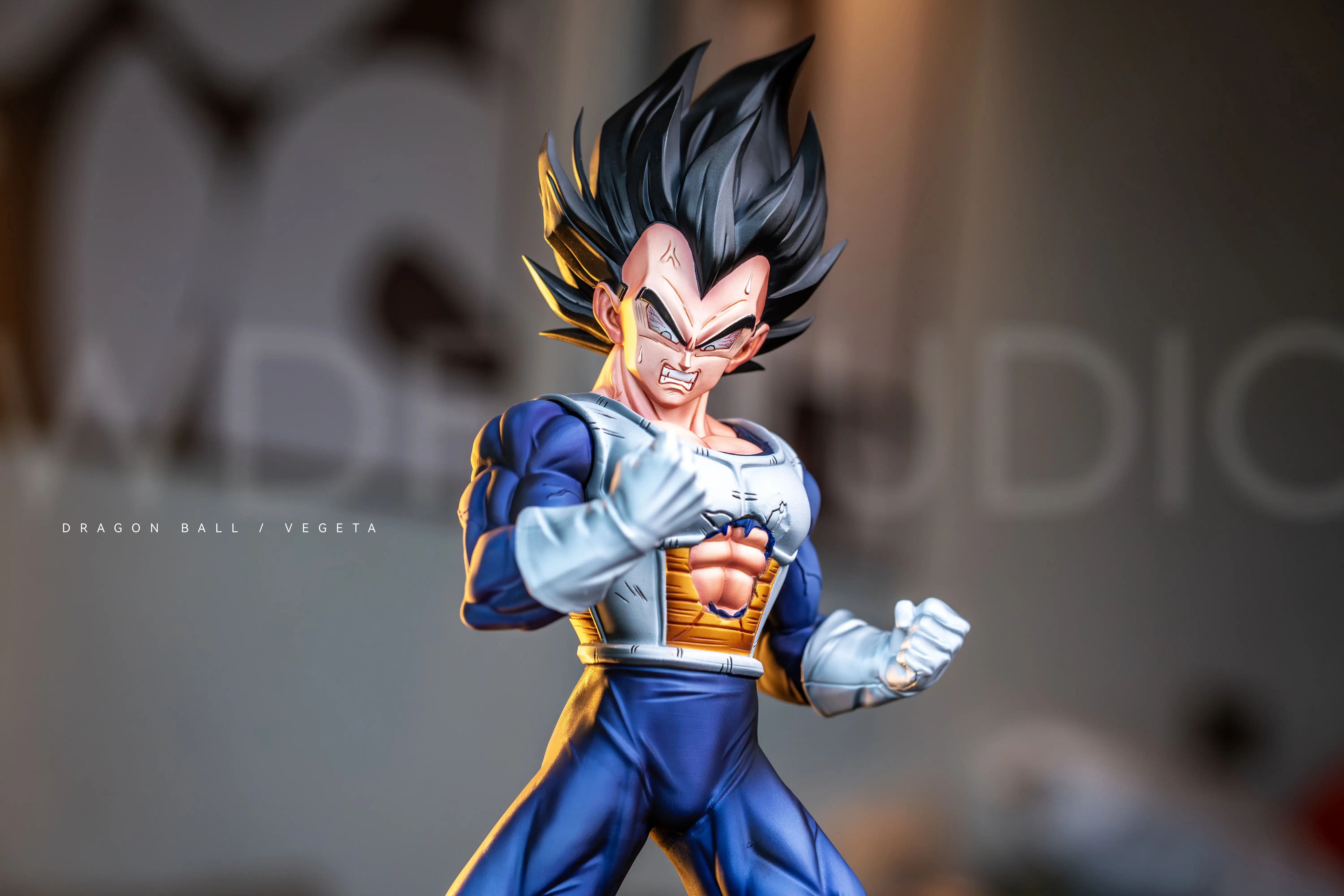 【Pre-sale】1/6 Scale Vegeta-Dragon Ball-WDF Studio