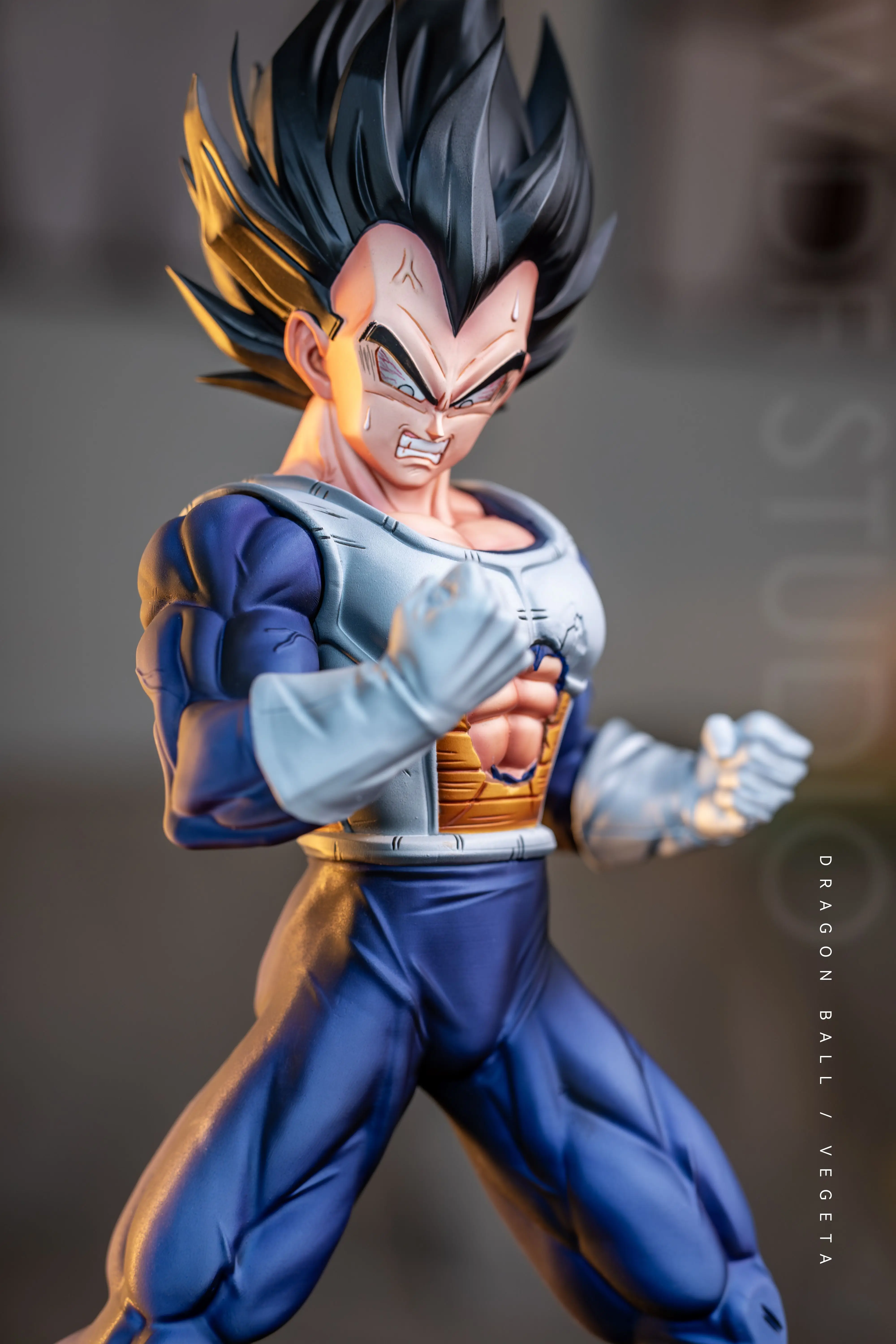 【Pre-sale】1/6 Scale Vegeta-Dragon Ball-WDF Studio
