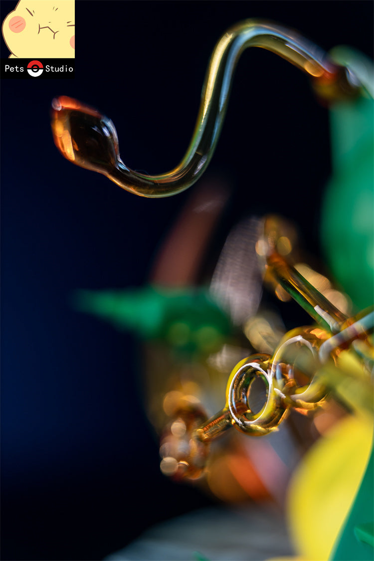 【Few left】Rayquaza Cosplay Pikachu-Pokemon-Pets Studio