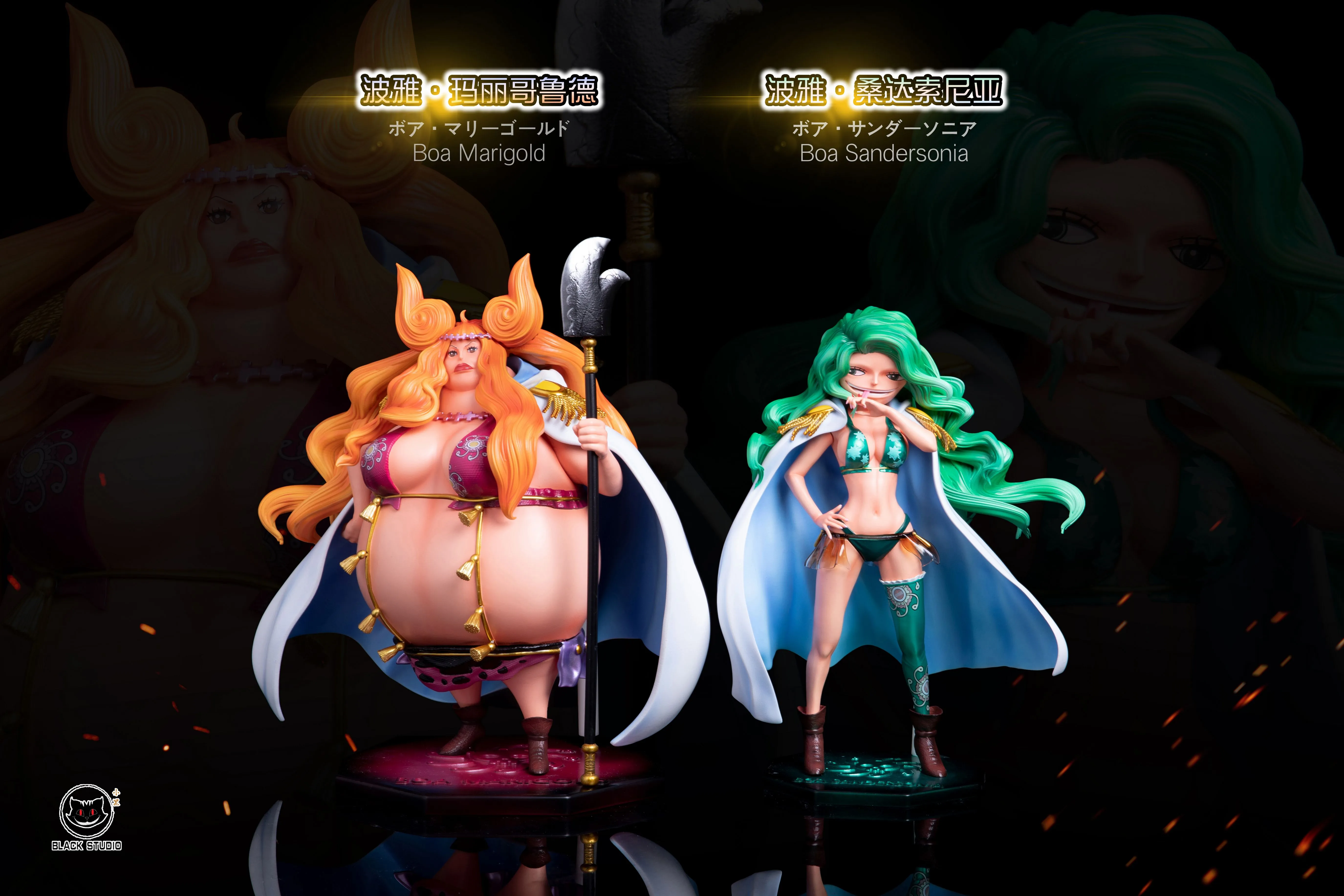 【Pre-sale】POP Scale Boa Sandersonia & Boa Marigold-Black Studio