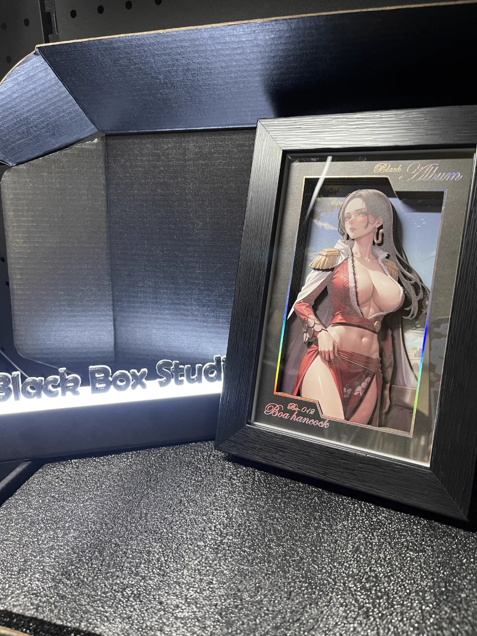 【In stock】Decorative Frame of Boa Hancock-Black Box Studio