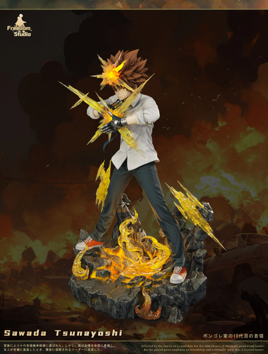 【Pre-sale】Sawada Tsunayoshi-HITMAN REBORN!-Freedom Studio