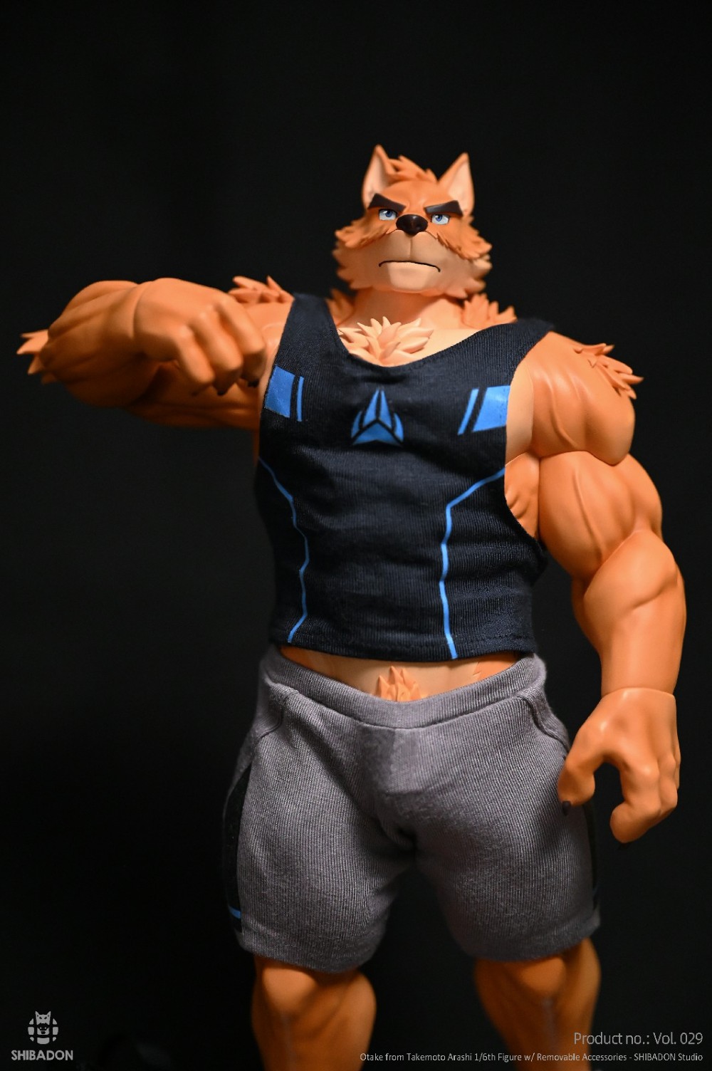 【Sold out】1/6 Scale Otake-Other series-Shibadon Studio