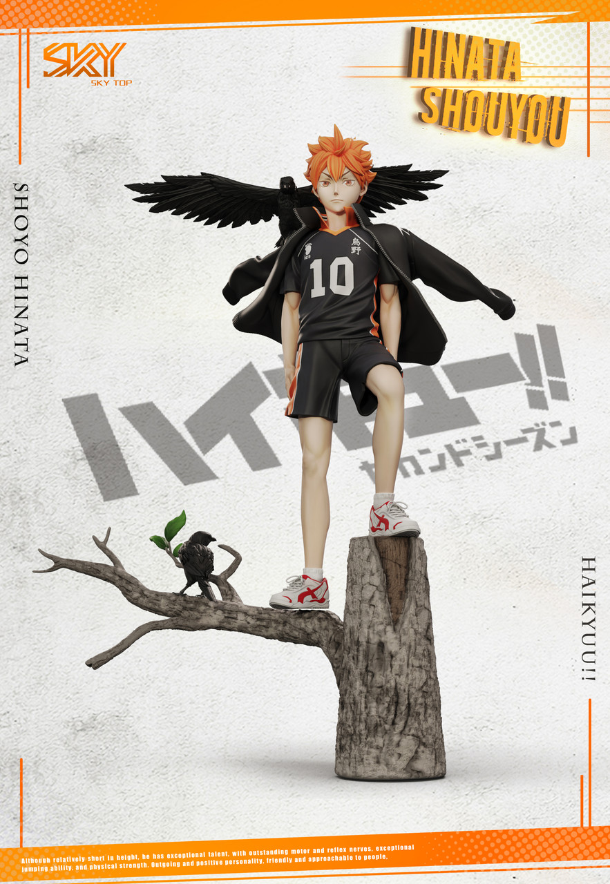 【Pre-sale】Shoyo Hinata-Haikyuu!!-Sky Top Studio