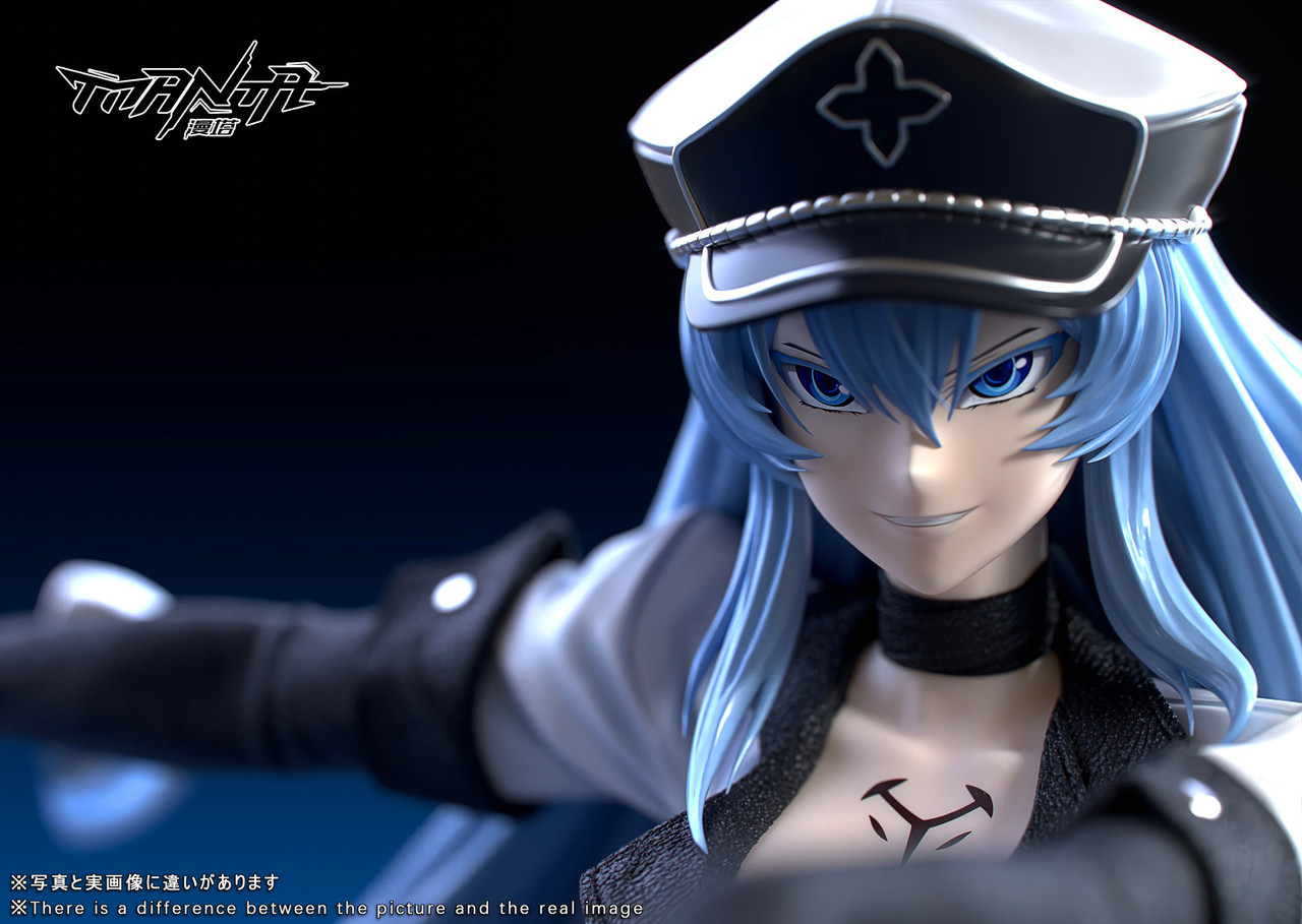 【Last one】1/6 Scale Esdeath with LED-Akame Ga Kill-Manta Studio
