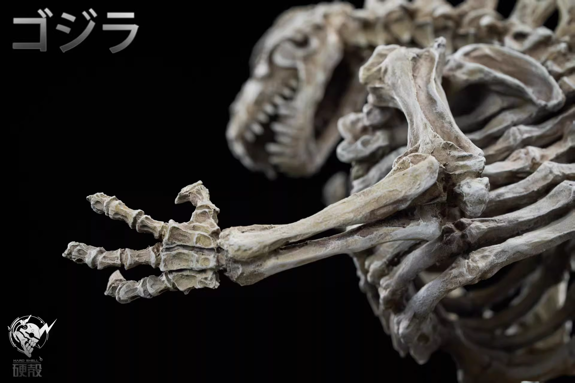 【Pre-sale】Skeletal Fossil of Godzilla–Hardcore  Studio