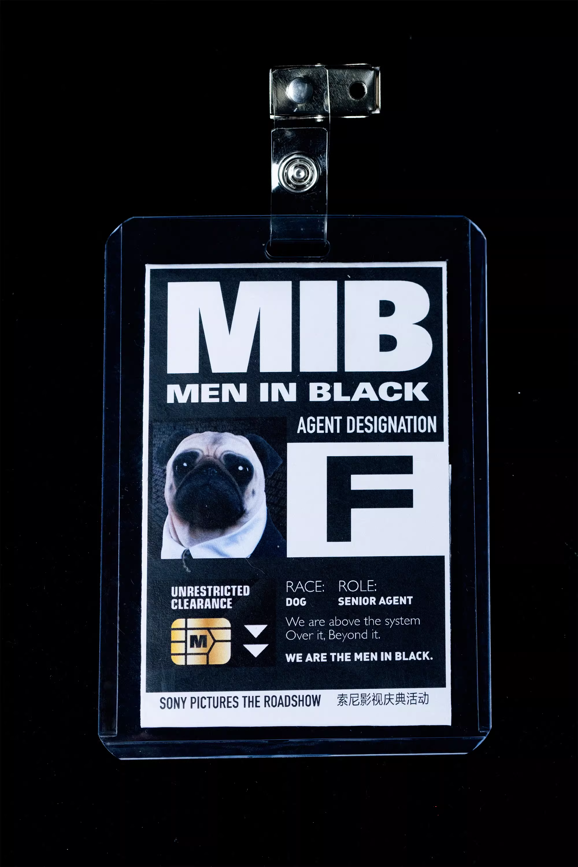 【Pre-sale】1/1 Scale Frank-Infinity Studio