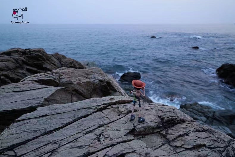 【Pre-sale】Luffy & Ace-One Piece-Comedian Studio