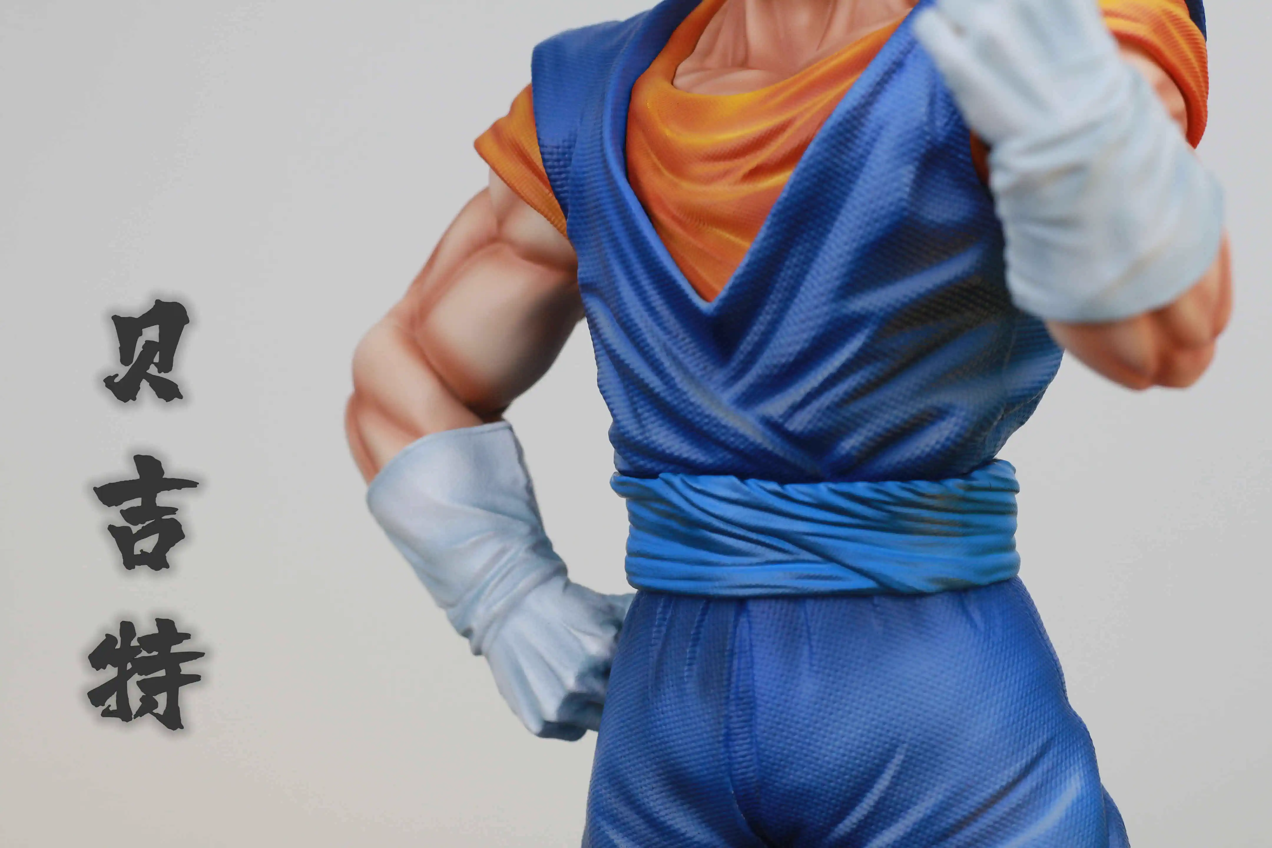 【Pre-sale】Vegetto-WS Studio