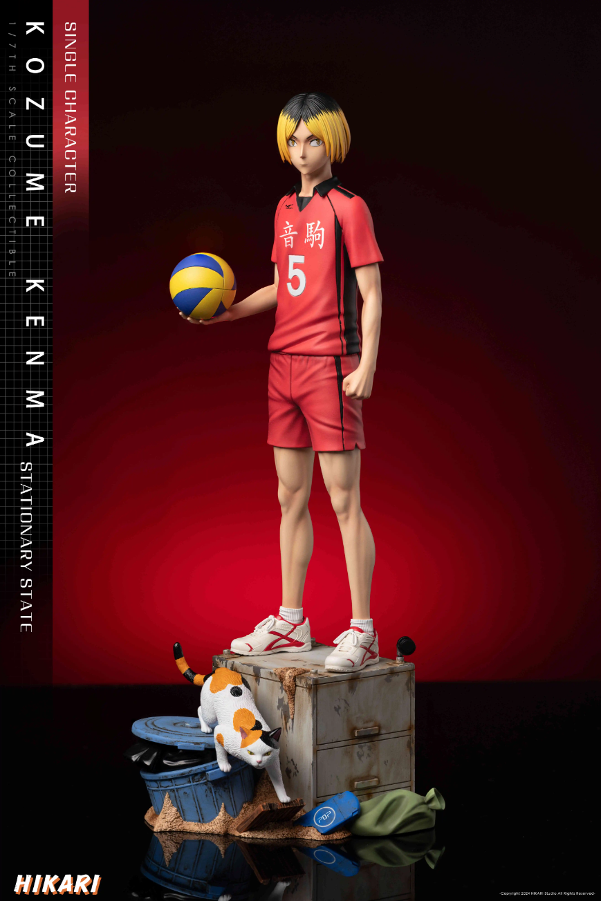 【Sold out】Kozume Kenma-Haikyuu!!-HIKARI Studio