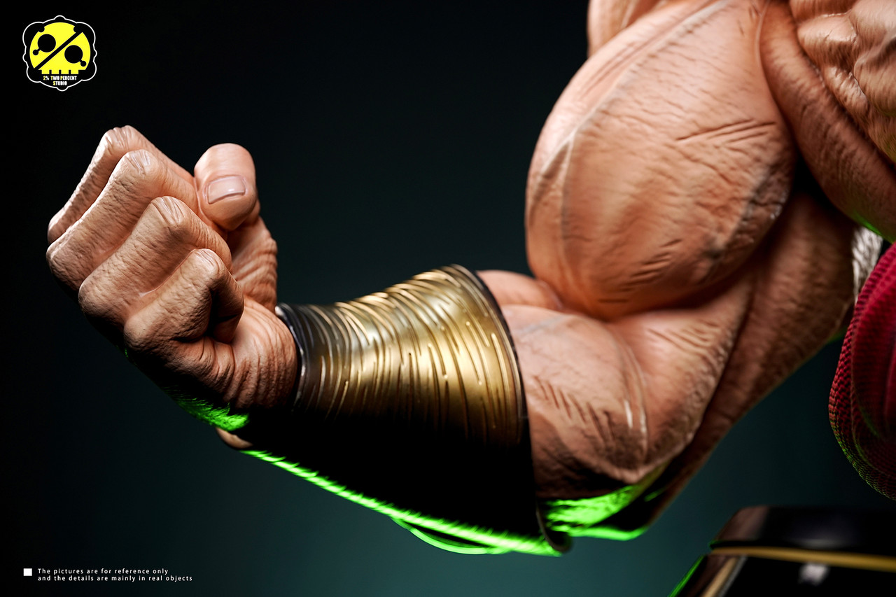 【Pre-sale】Bust of Broly-2％ Studio