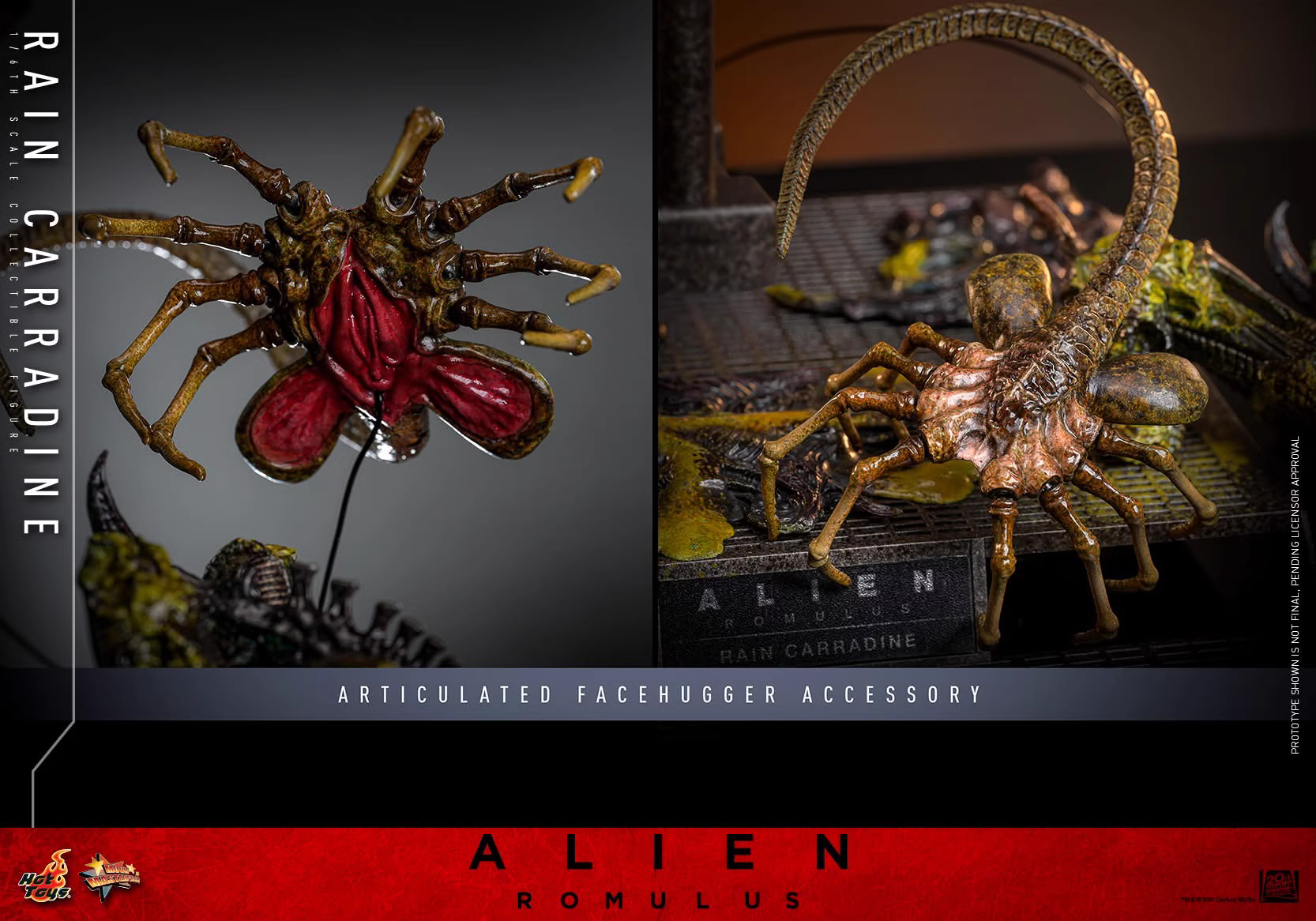 【Pre-sale】1/6 Scale Rain-Alien: Romulus-Hot Toys Studio