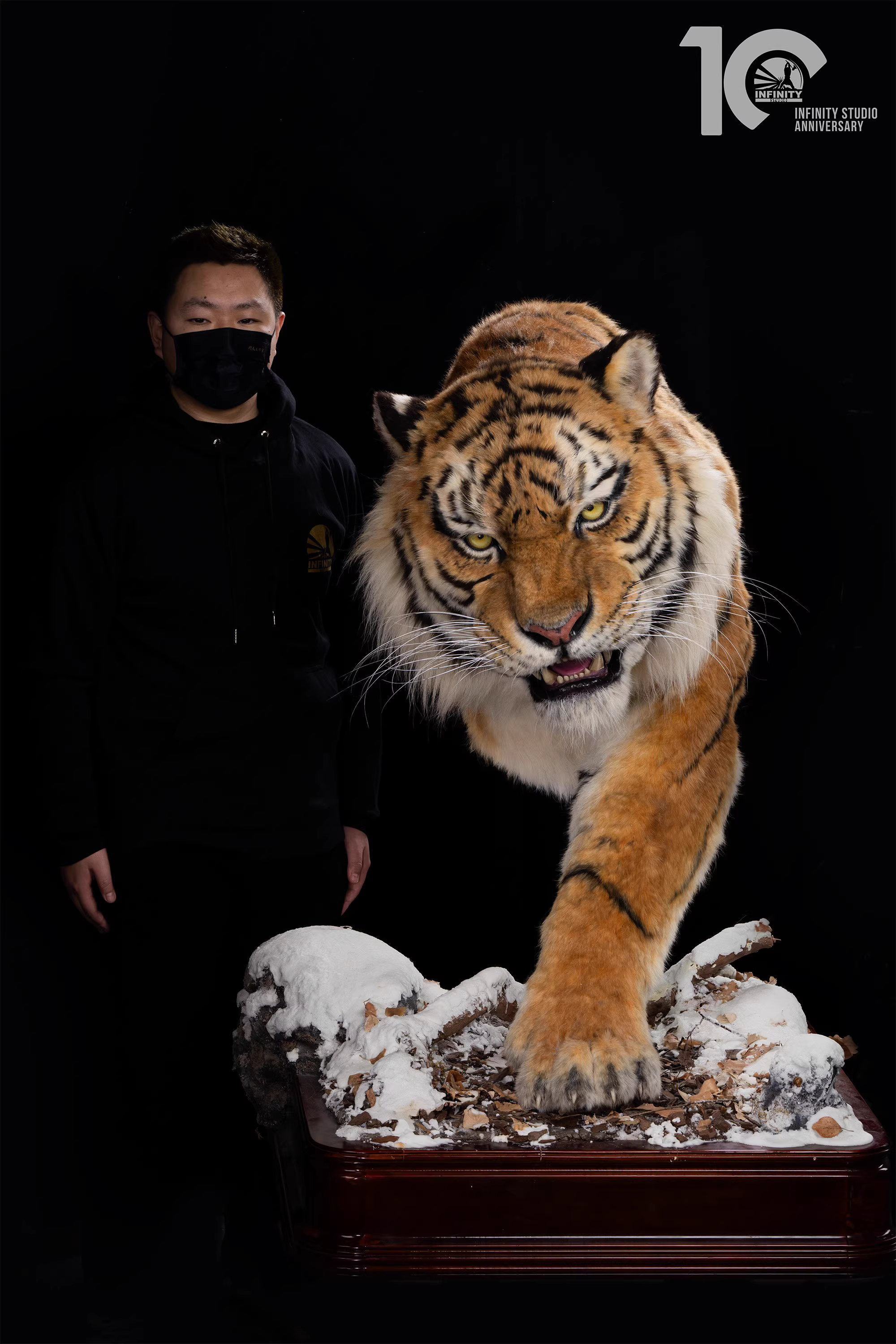 【Pre-sale】1/1 Scale Tiger-Other series-Infinity Studio