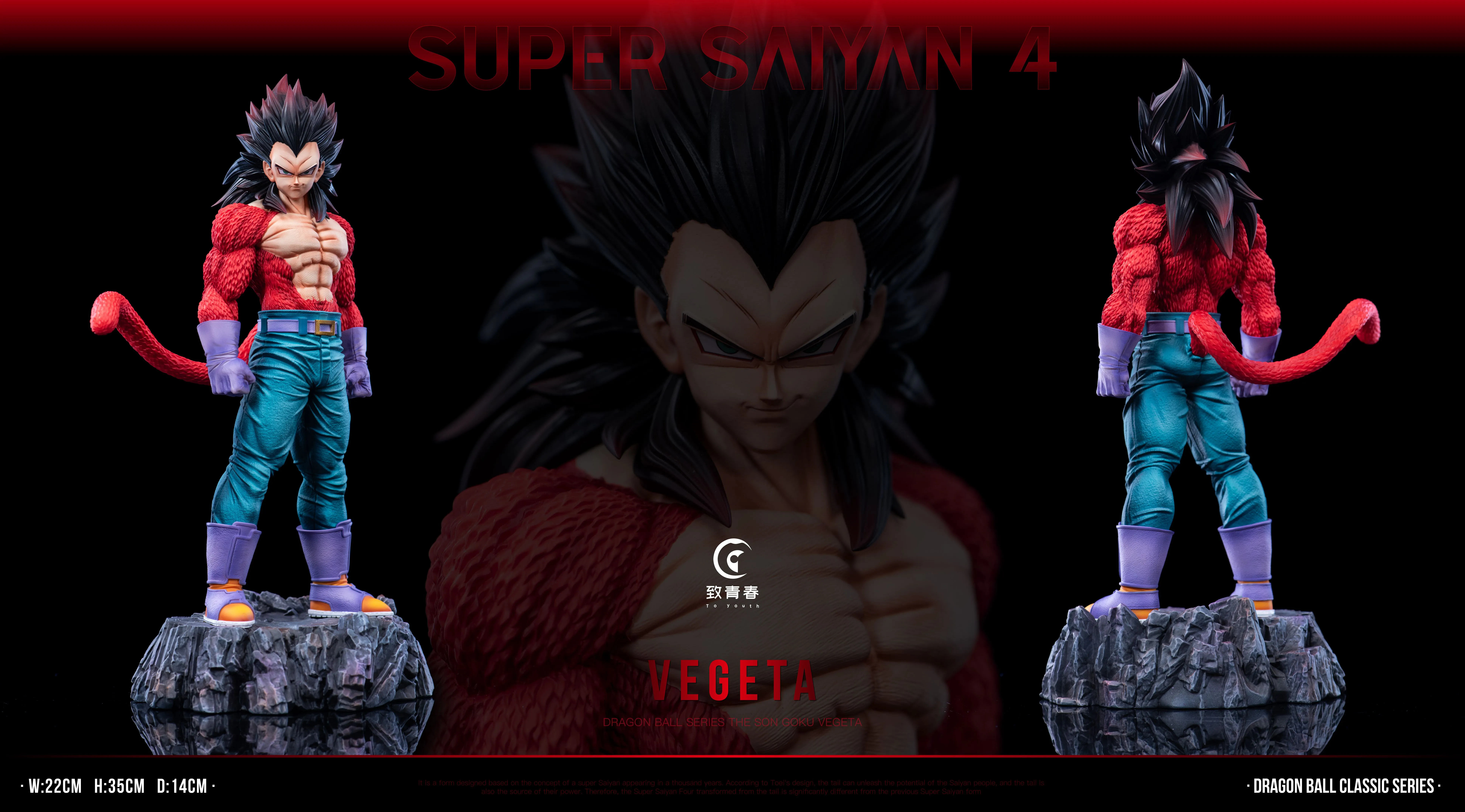 【Pre-sale】Son Goku and Vegeta-Toyouth Studio