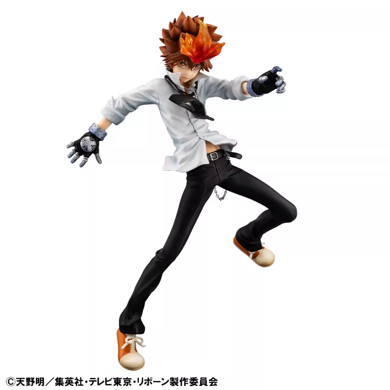 【Pre-sale】Sawada Tsunayoshi and Hibari Kyōya-MegaHouse Studio