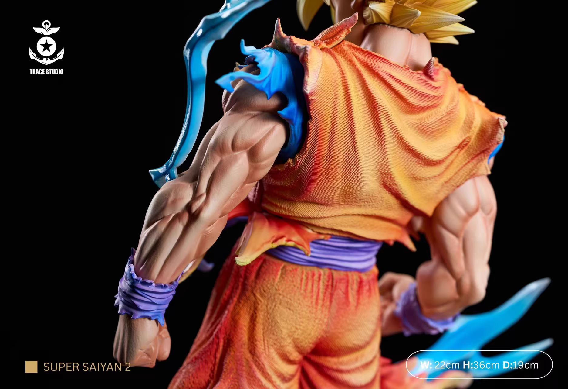 【Pre-sale】1/6 Scale Son Goku-TRACE Studio
