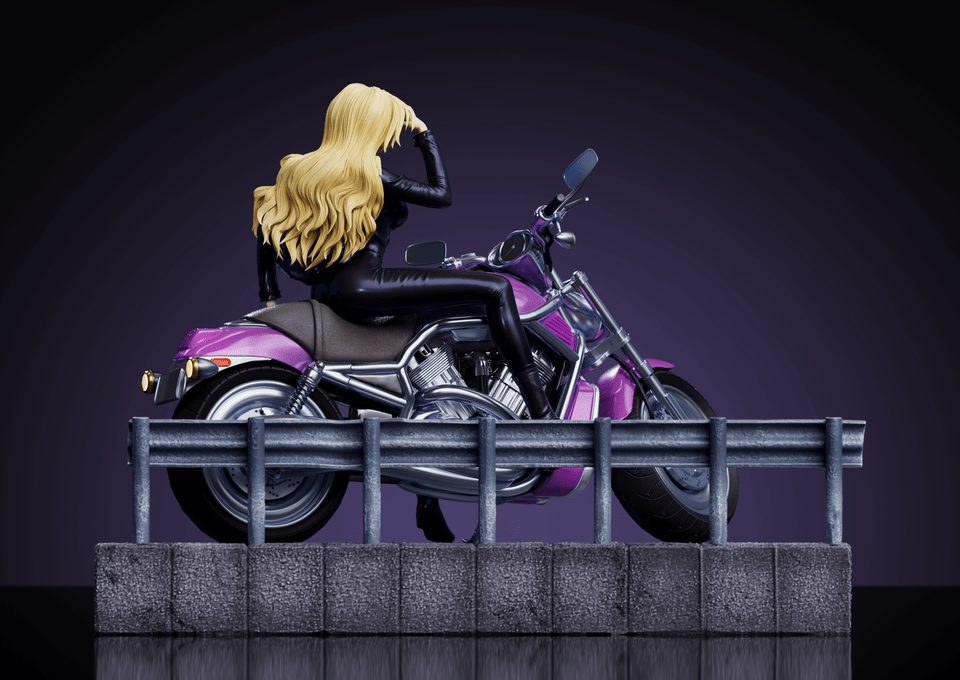 【Pre-sale】1/6 Scale Vermouth Motorcycle-Strange Thief Studio